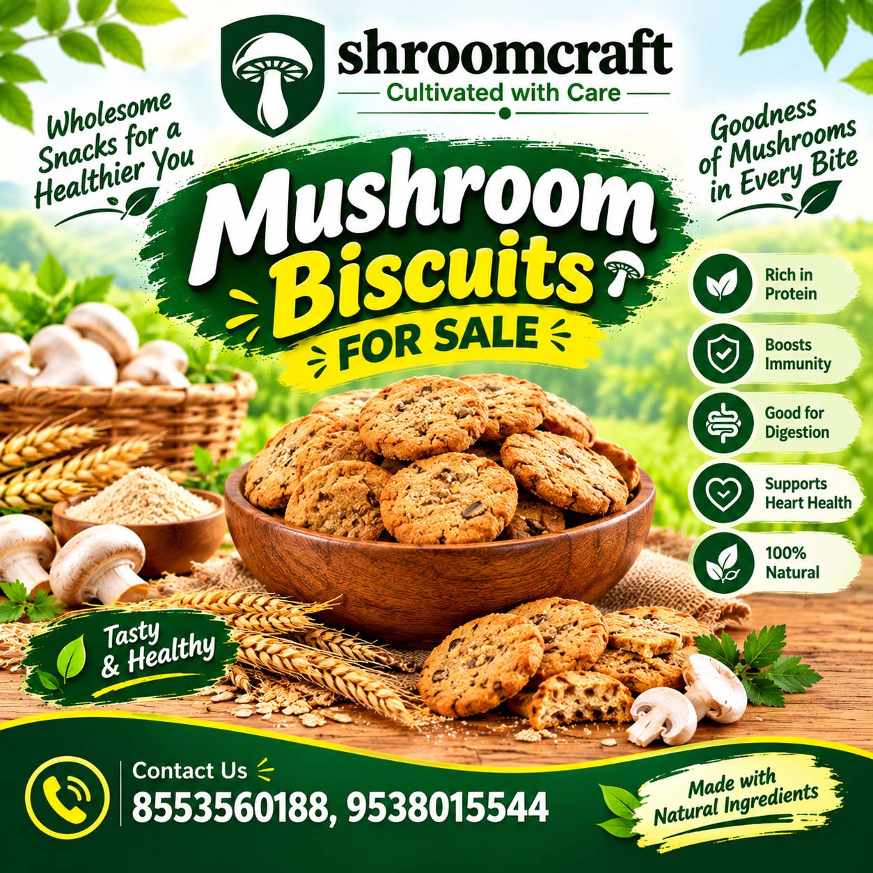 mushroom for sale in Vijayapura | mushroom for sale in Bijapur | mushroom for sale in Bagalkot | mushroom for sale in Bangalore, oyster mushroom for sale | oyster mushroom suppliers in | Vijayapura, mushroom suppliers in Vijayapura | mushroom suppliers in Bagalkot, mushroom | suppliers in Bangalore, mushroom retailers in Vijayapura | mushroom retailers in Bagalkot | mushroom retailers in Bangalore | mushroom cultivators in Vijayapura | mushroom cultivators in Bagalkot | mushroom cultivators in Bangalore | fresh oyster mushroom suppliers | fresh mushroom suppliers and oyster mushroom suppliers in Bijapur | mushroom suppliers in Bijapur | mushroom retailers in Bijapur